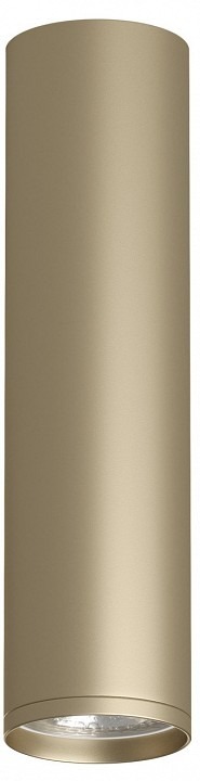 Фото Накладной светильник Denkirs TUBE DK2052-SG DK_DK2052-SG - интернет-магазин МегаТерем в Москве