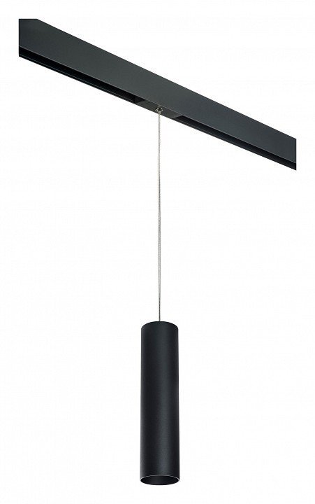 Фото Подвесной светильник Lightstar Rullo PRORP497 LS_PRORP497 - интернет-магазин МегаТерем в Москве