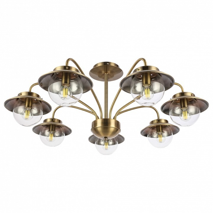 Фото Потолочная люстра EVOLUCE Garonni SLE110102-07 EVO_SLE110102-07 - интернет-магазин МегаТерем в Москве