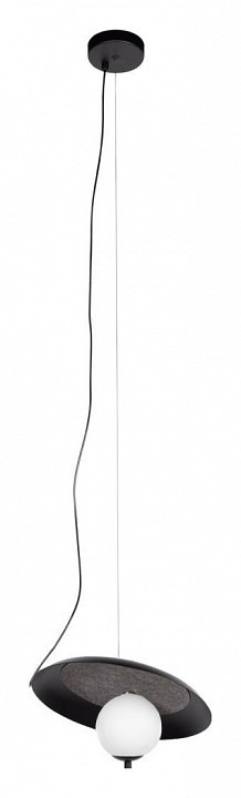 Фото Подвесной светильник Loft it Wonders 10237P Black LF_10237P_Black - интернет-магазин МегаТерем в Москве