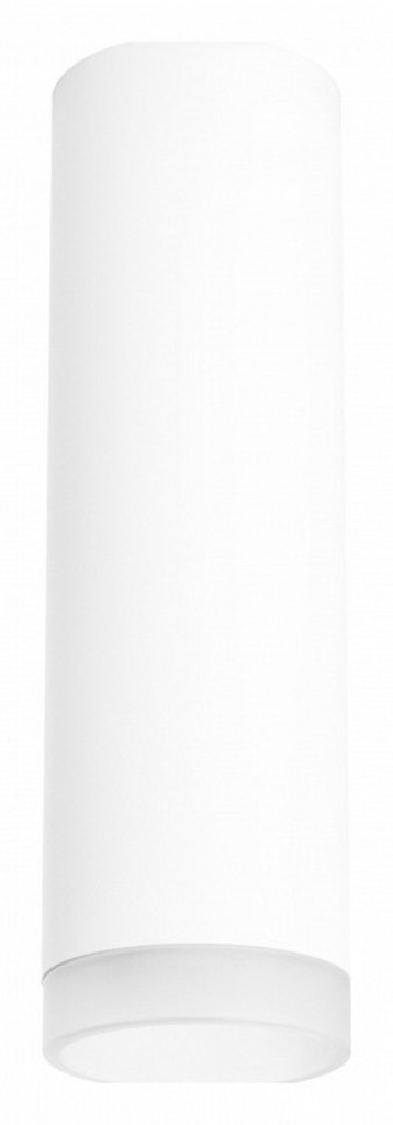 Фото Накладной светильник Lightstar Rullo R649680 LS_R649680 - интернет-магазин МегаТерем в Москве