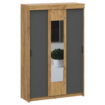 Шкаф-купе Вена ARN_00-00164543