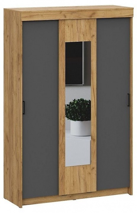 Фото Шкаф-купе Вена ARN_00-00164543 - интернет-магазин МегаТерем в Москве