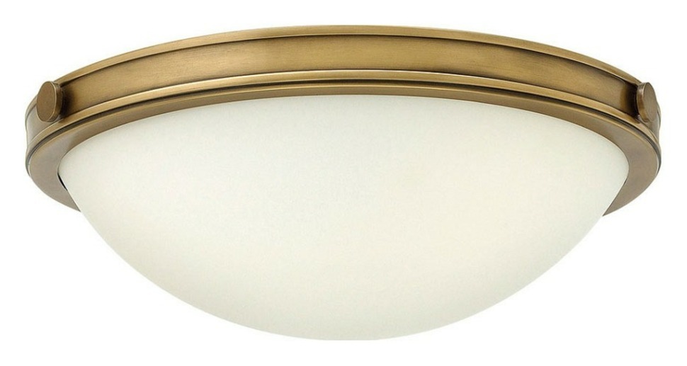 Фото Накладной светильник Hinkley Collier HK-COLLIER-F-S NC_HK_COLLIER_F_S - интернет-магазин МегаТерем в Москве