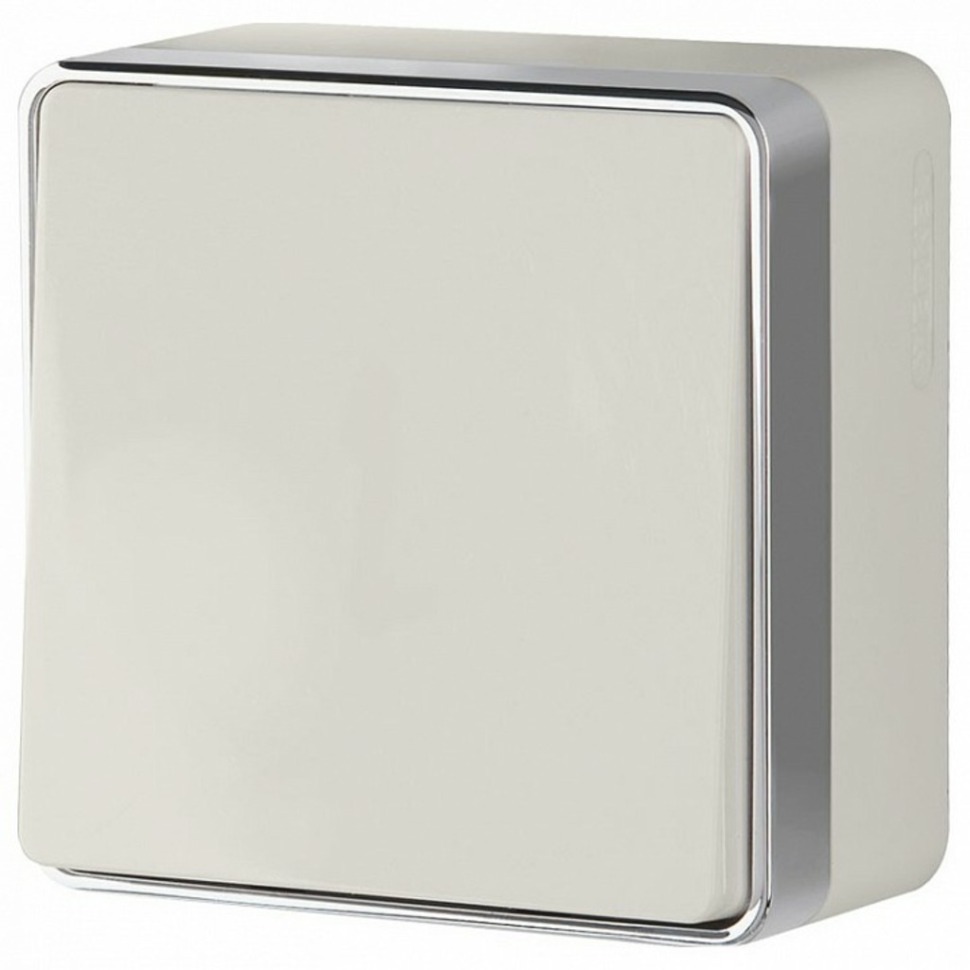 Фото Выключатель одноклавишный Werkel Gallant (слоновая кость) W5010003 WRK_a051540 - интернет-магазин МегаТерем в Москве