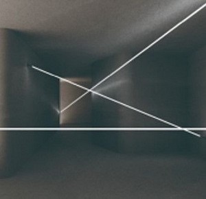 Фото Светильник на растяжке ST-Luce Гибкий Неон ST980.447.09 - интернет-магазин МегаТерем в Москве