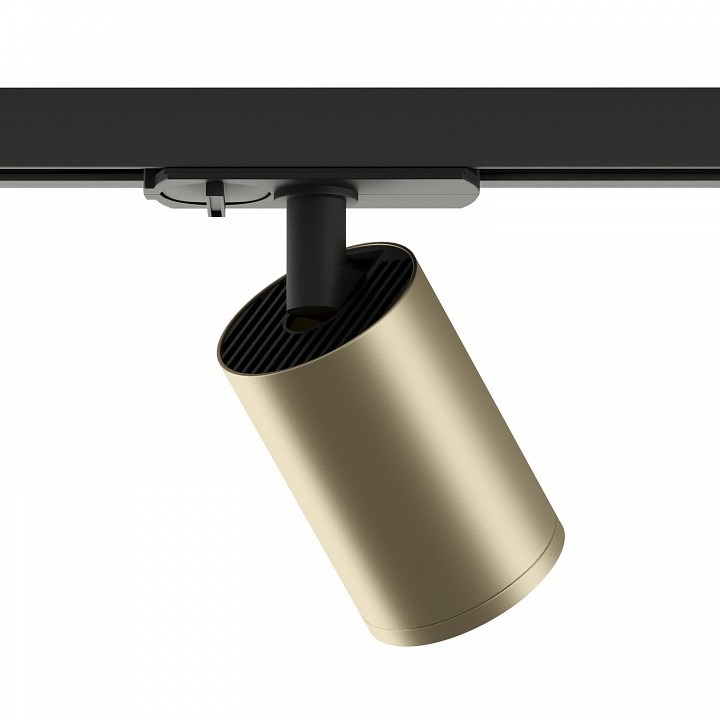 Фото Светильник на штанге Denkirs TUBE DK6201-BG DK_DK6201-BG - интернет-магазин МегаТерем в Москве