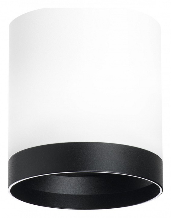 Фото Накладной светильник Lightstar Rullo R34863487 LS_R34863487 - интернет-магазин МегаТерем в Москве