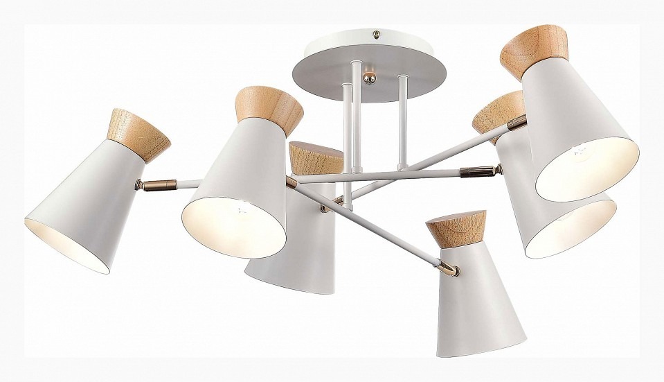 Фото Потолочная люстра EVOLUCE Alfeo SLE1252-502-06 EVO_SLE1252-502-06 - интернет-магазин МегаТерем в Москве