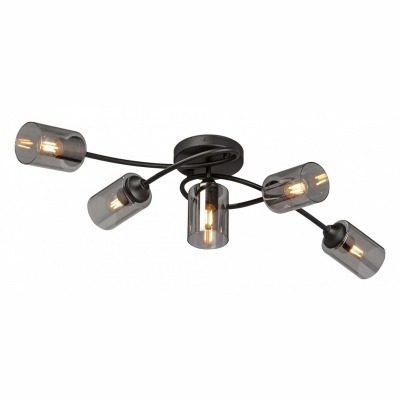 Потолочная люстра Vitaluce V2048 V2048-1/5PL VI_V2048-1_5PL