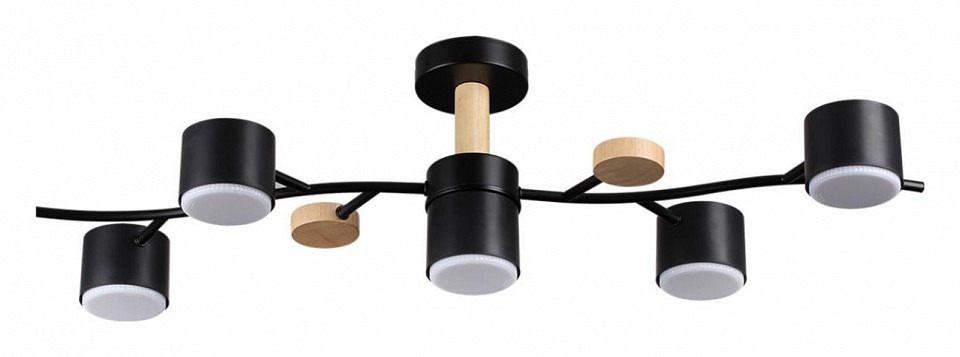 Фото Потолочная люстра Lumion Crypto 8194/5C LMN_8194_5C - интернет-магазин МегаТерем в Москве