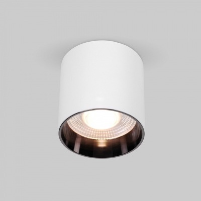 Накладной светильник Elektrostandard Orson a062929 ELK_a062929