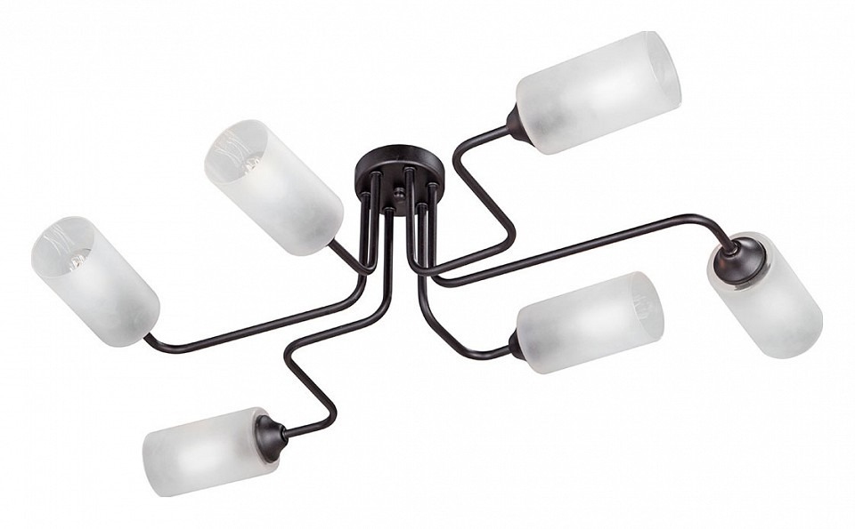 Фото Потолочная люстра Vitaluce 4310 V4310-1/6PL VI_V4310-1_6PL - интернет-магазин МегаТерем в Москве