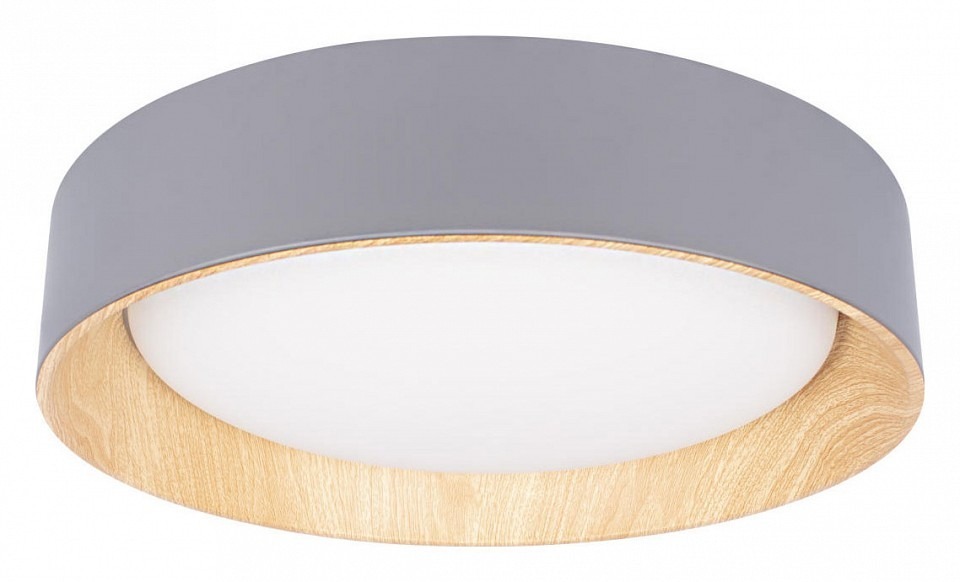 Фото Накладной светильник Loft it Coin 10202 Grey LF_10202_Grey - интернет-магазин МегаТерем в Москве