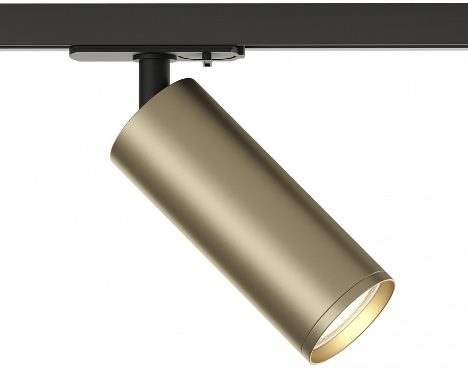 Фото Светильник на штанге Denkirs TUBE DK6202-BG DK_DK6202-BG - интернет-магазин МегаТерем в Москве