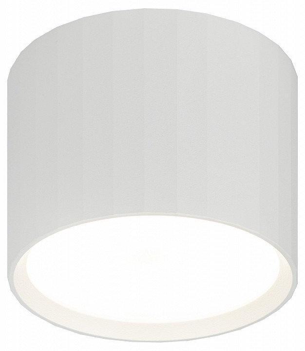 Фото Накладной светильник Эра OL39 WH Б0056389 ER_B0056389 - интернет-магазин МегаТерем в Москве