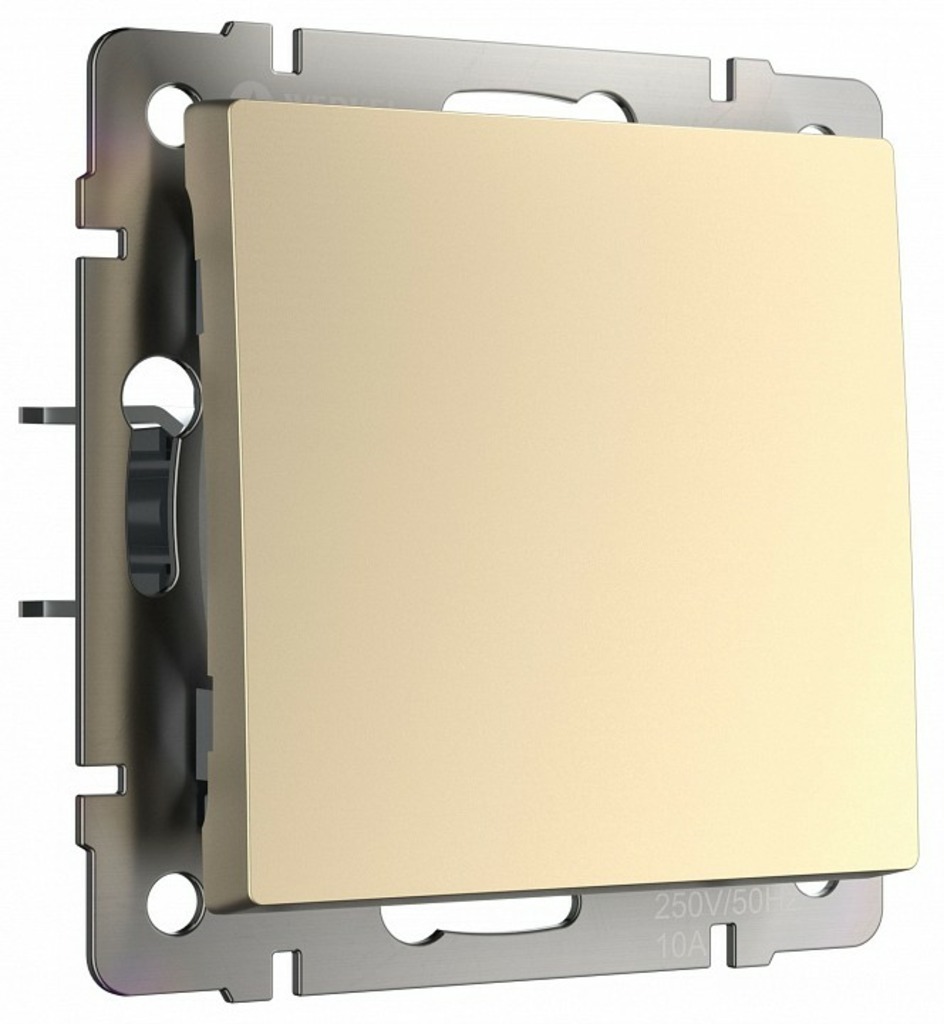 Фото Выключатель одноклавишный без рамки Werkel шампань W111001 WRK_a050869 - интернет-магазин МегаТерем в Москве