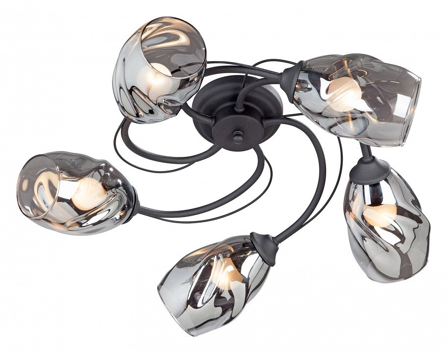 Фото Потолочная люстра Vitaluce  V4937-1/5PL VI_V4937-1_5PL - интернет-магазин МегаТерем в Москве