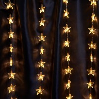 Занавес световой Feron CL25 48607 FE_48607