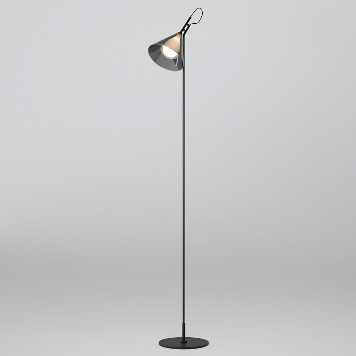 Фото Торшер Eurosvet Enigma 01187/1 черный EV_a069053 - интернет-магазин МегаТерем в Москве