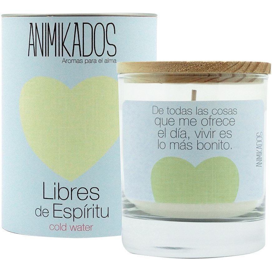 Фото Свеча ароматическая animikados, dream catcher, Холодная вода, 40 ч. (73307) - интернет-магазин МегаТерем в Москве