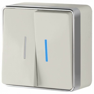 Выключатель двухклавишный с подсветкой Werkel Gallant (слоновая кость) W5020103 WRK_a051550
