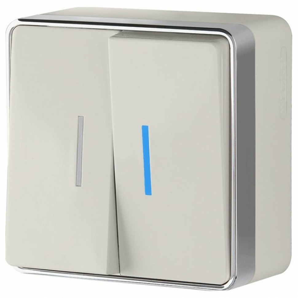 Фото Выключатель двухклавишный с подсветкой Werkel Gallant (слоновая кость) W5020103 WRK_a051550 - интернет-магазин МегаТерем в Москве