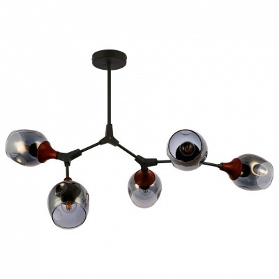 Люстра на штанге EVOLUCE Ci...