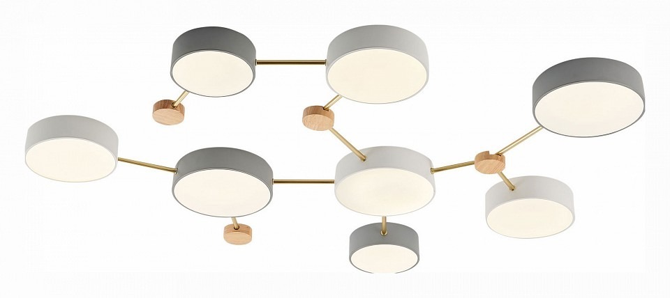 Фото Накладной светильник EVOLUCE Dossena SLE600102-08 EVO_SLE600102-08 - интернет-магазин МегаТерем в Москве