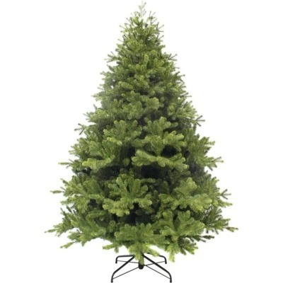 Триумф можжевельник 155 см ...