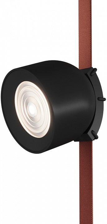 Фото Накладной светильник Denkirs Belty Spot DK5640-BK DK_DK5640-BK - интернет-магазин МегаТерем в Москве