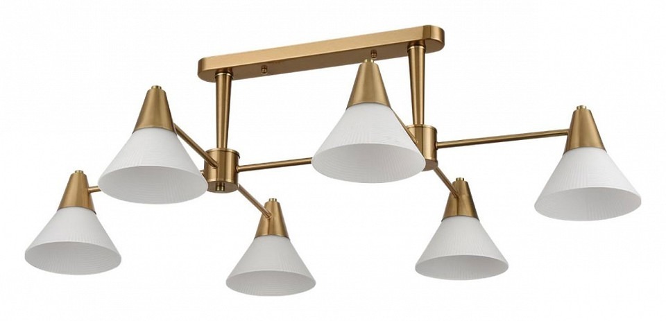 Фото Люстра на штанге Lumion Corne 8113/6 LMN_8113_6 - интернет-магазин МегаТерем в Москве