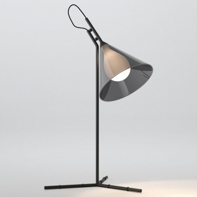 Настольная лампа декоративная Eurosvet Enigma 01186/1 черный EV_a069059