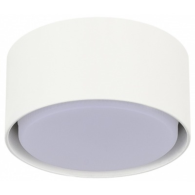 Накладной светильник ST-Luce ST164 ST164.502.01