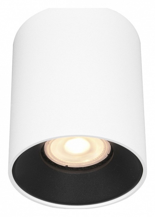 Фото Накладной светильник ST-Luce ST167 ST167.542.01 - интернет-магазин МегаТерем в Москве