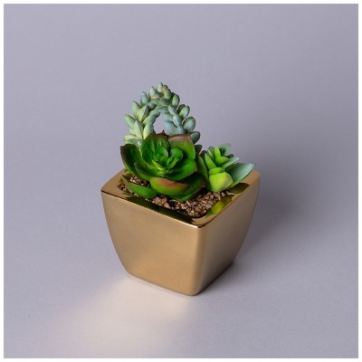 Суккулент искусственный в г...