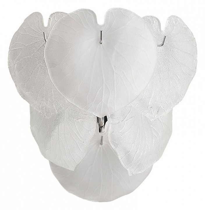 Фото Накладной светильник Arte Lamp Kapri A4078AP-2CC AR_A4078AP-2CC - интернет-магазин МегаТерем в Москве