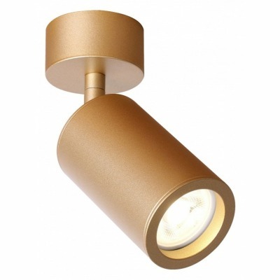 Спот Favourite Angularis 2802-1U FV_2802-1U