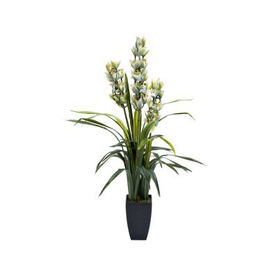Орхидея CYMBIDIUM искусств....