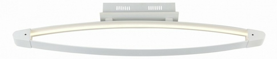 Фото Накладной светильник ST-Luce SL920 SL920.102.01 - интернет-магазин МегаТерем в Москве