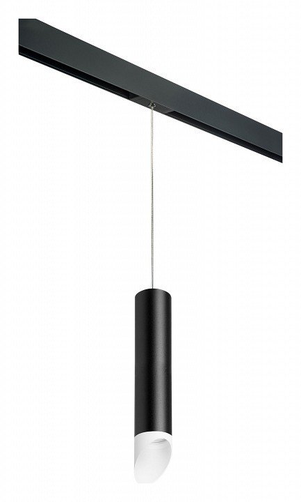 Фото Подвесной светильник Lightstar Rullo PRORP49736 LS_PRORP49736 - интернет-магазин МегаТерем в Москве