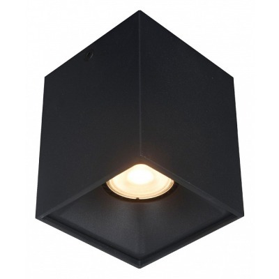 Накладной светильник ST-Luce ST168 ST168.402.01