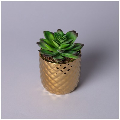 Суккулент искусственный в г...