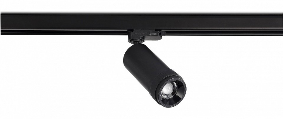 Фото Светильник на штанге ST-Luce  ST691.436.20 - интернет-магазин МегаТерем в Москве