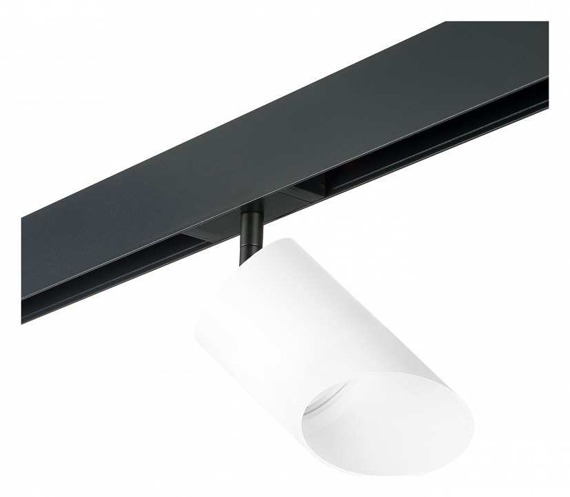 Фото Светильник на штанге Lightstar Rullo PRO348686 LS_PRO348686 - интернет-магазин МегаТерем в Москве