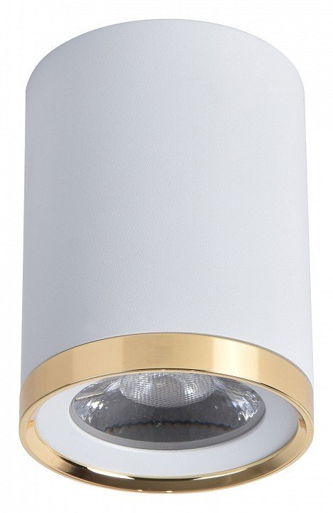 Фото Накладной светильник Favourite Prakash 3085-1C FV_3085-1C - интернет-магазин МегаТерем в Москве