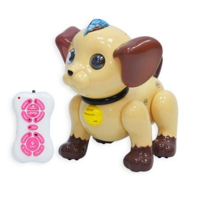 Радиоуправляемый робот соба...