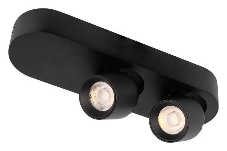Фото Накладной светильник Loft it Quiet 10320/2 Black LF_10320_2_Black - интернет-магазин МегаТерем в Москве