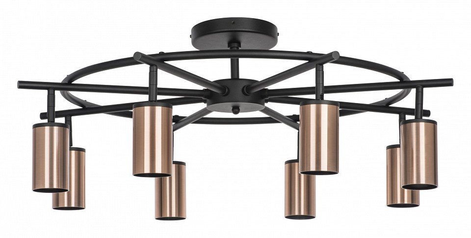 Фото Люстра на штанге Lightstar Rullo LR718308 LS_LR718308 - интернет-магазин МегаТерем в Москве