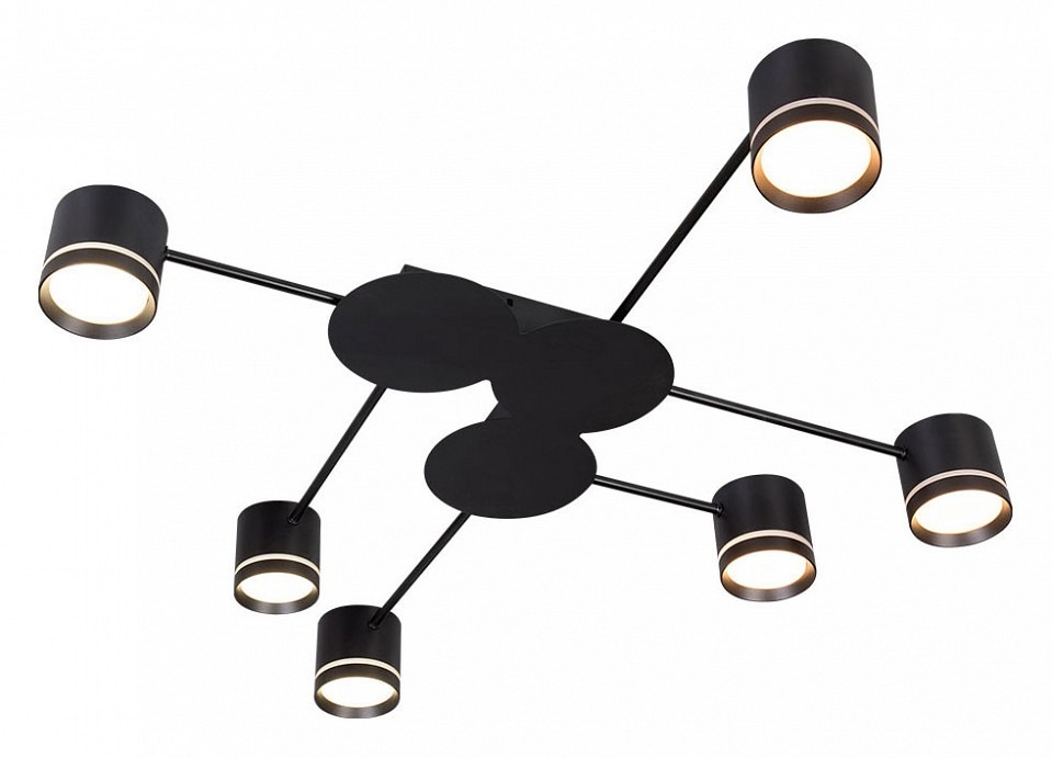 Фото Потолочная люстра Arte Lamp Legacy A8024PL-6BK AR_A8024PL-6BK - интернет-магазин МегаТерем в Москве